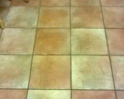 Floor Tiles 3